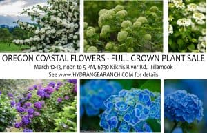 Oregon Coastal Flowers hosting specialty plant sale March 12-13.