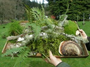 Curly Willow & Forest Droppings with Moss.