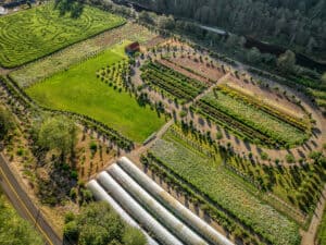 10.31.22 Kilchis River Pumpkin Patch Oregon Coast Corn Maze