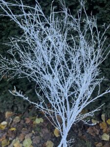 White Christmas Floral Branch