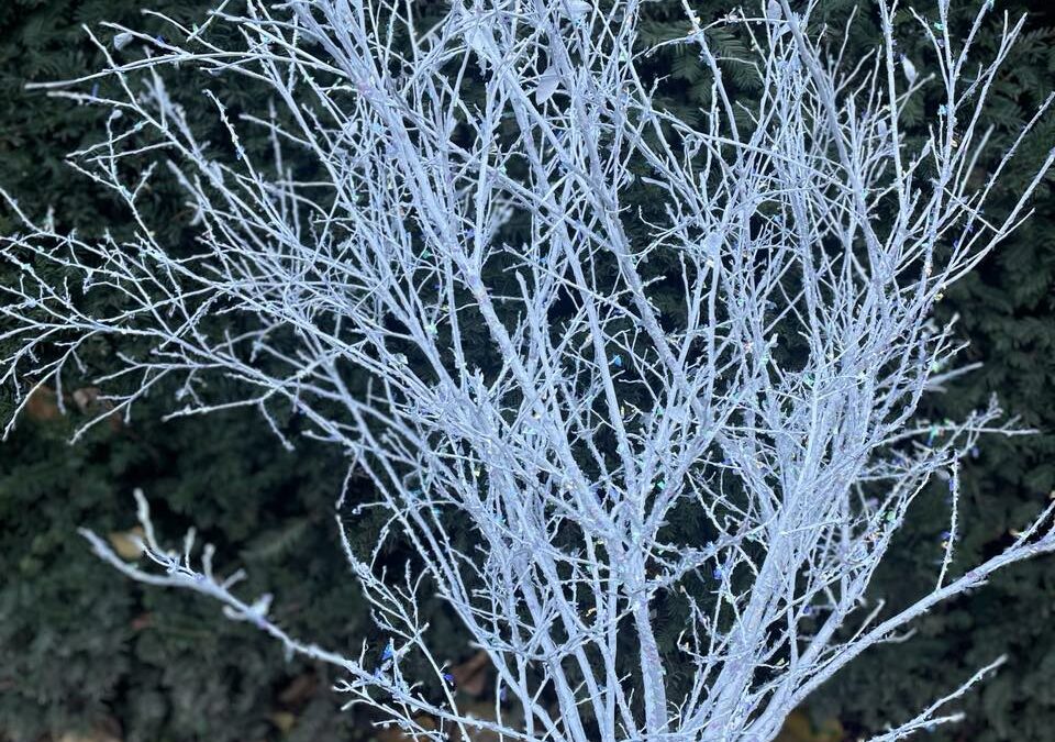 White Christmas Floral Branch