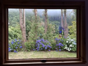 Flowering Branches Preview