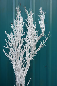 Flocked White Christmas Specialty Branches