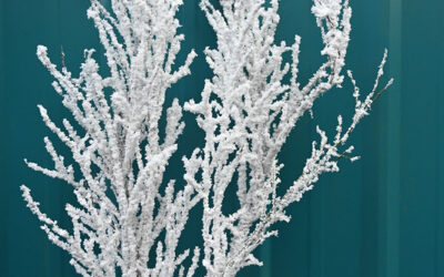 Flocked White Christmas Specialty Branches