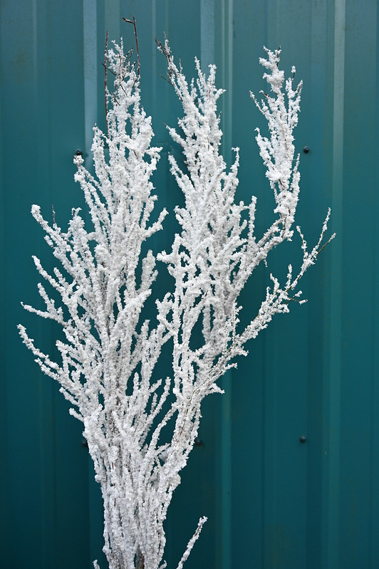 Flocked branches