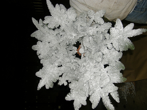 Flocked Noble Star specialty
