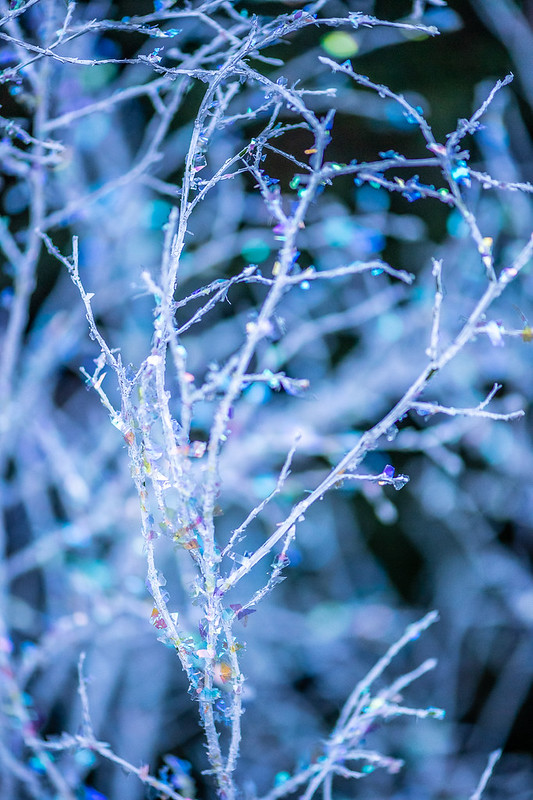 Glittered branches