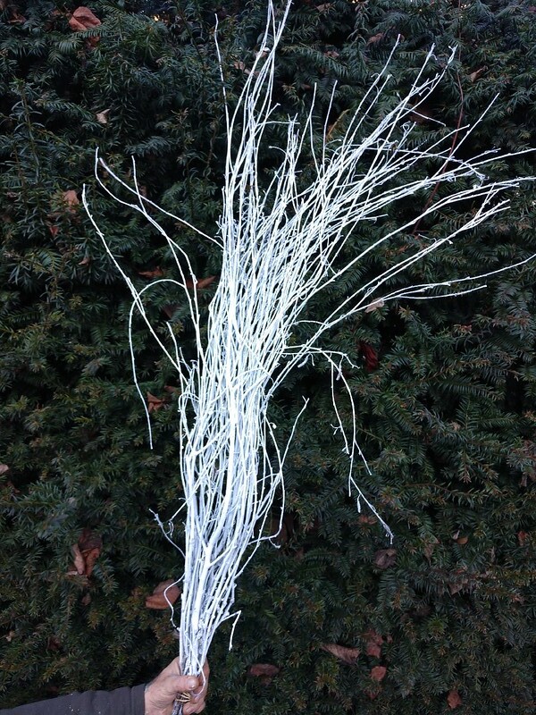 Painted branches