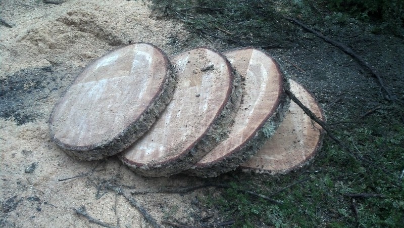 Wood rounds